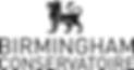 birmingham conservatoire
