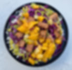 Connecticut vegan vegetarian food truck Tofu Rice Bowl tacos