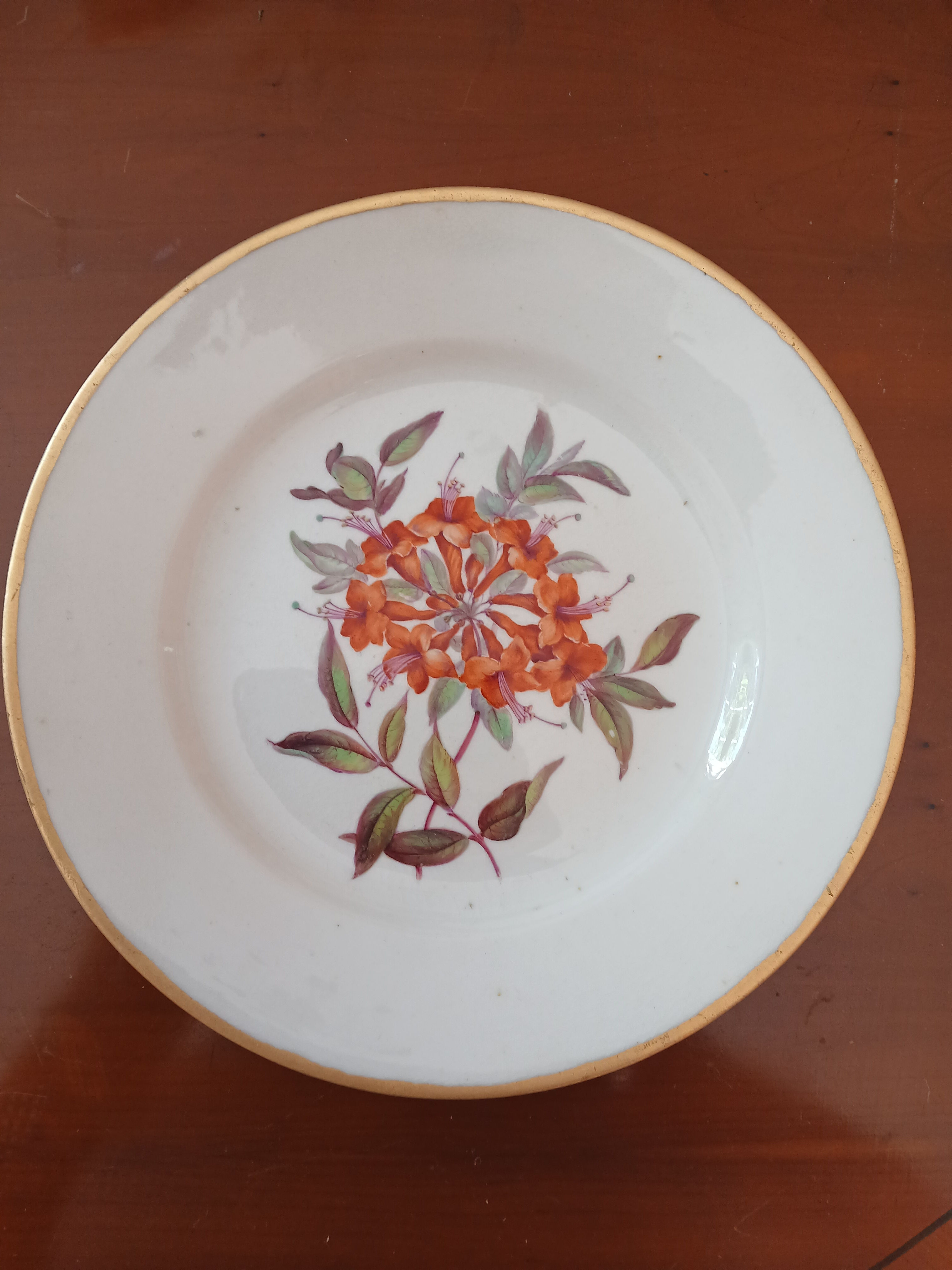 Superb Derby Botanical Plate by William "Quaker" Pegg