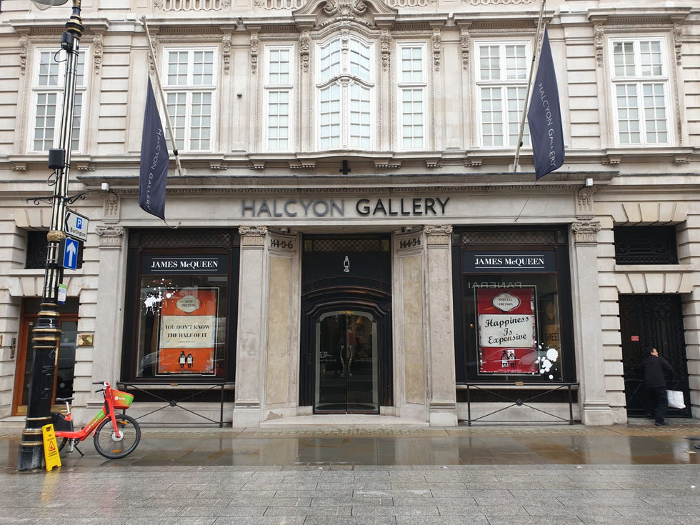 Debut Exhibition, 2022, Halcyon Gallery, Bond Street, London (1).jpeg