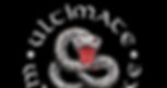 ULTIMATE WHITESNAKE - Top tribute ITS GREAT !