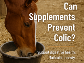 Can Supplements Really Prevent Colic?
