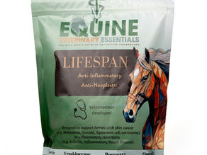 Natural Supplement for Horses: How Equine Lifespan Shapes the Need for Anti-Inflammatory and Anti-Cancer Supplements