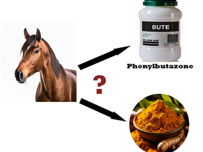 Rethinking NSAIDs for Horses: Herbal Alternatives For Horses That Work