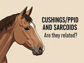 Sarcoids and Cushing's in Horses: A Veterinarian's Guide to Understanding and Herbal Support