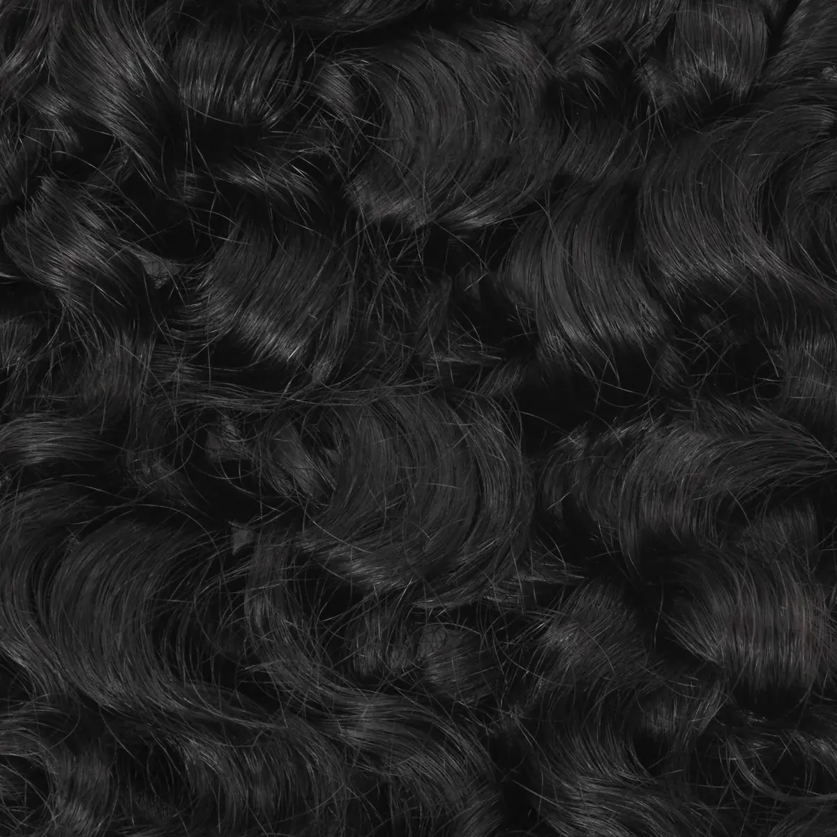Curl Theory Bundle