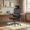 Thumbnail: Ocanvas Ergonomic Office Chair