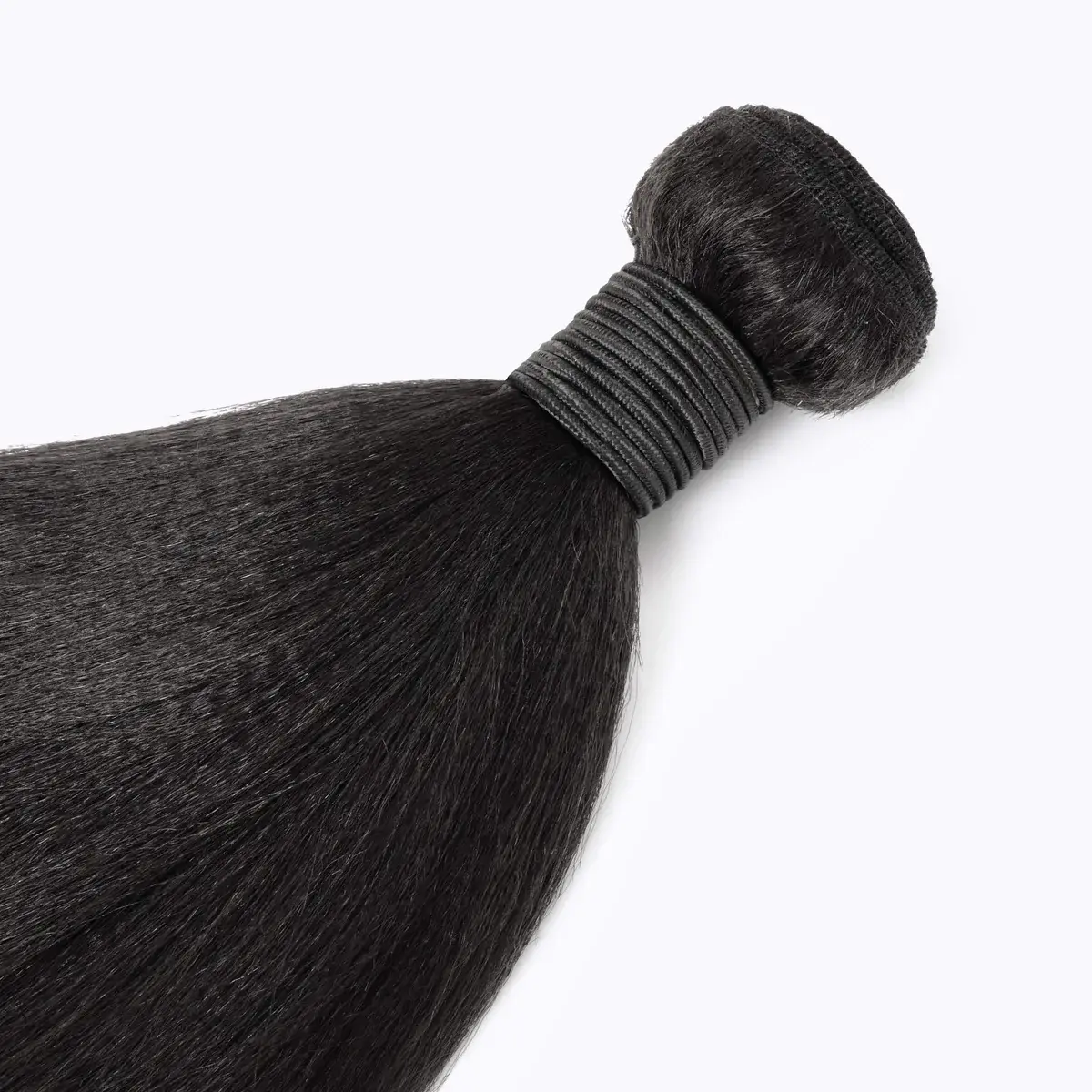 Silk Theory Bundle