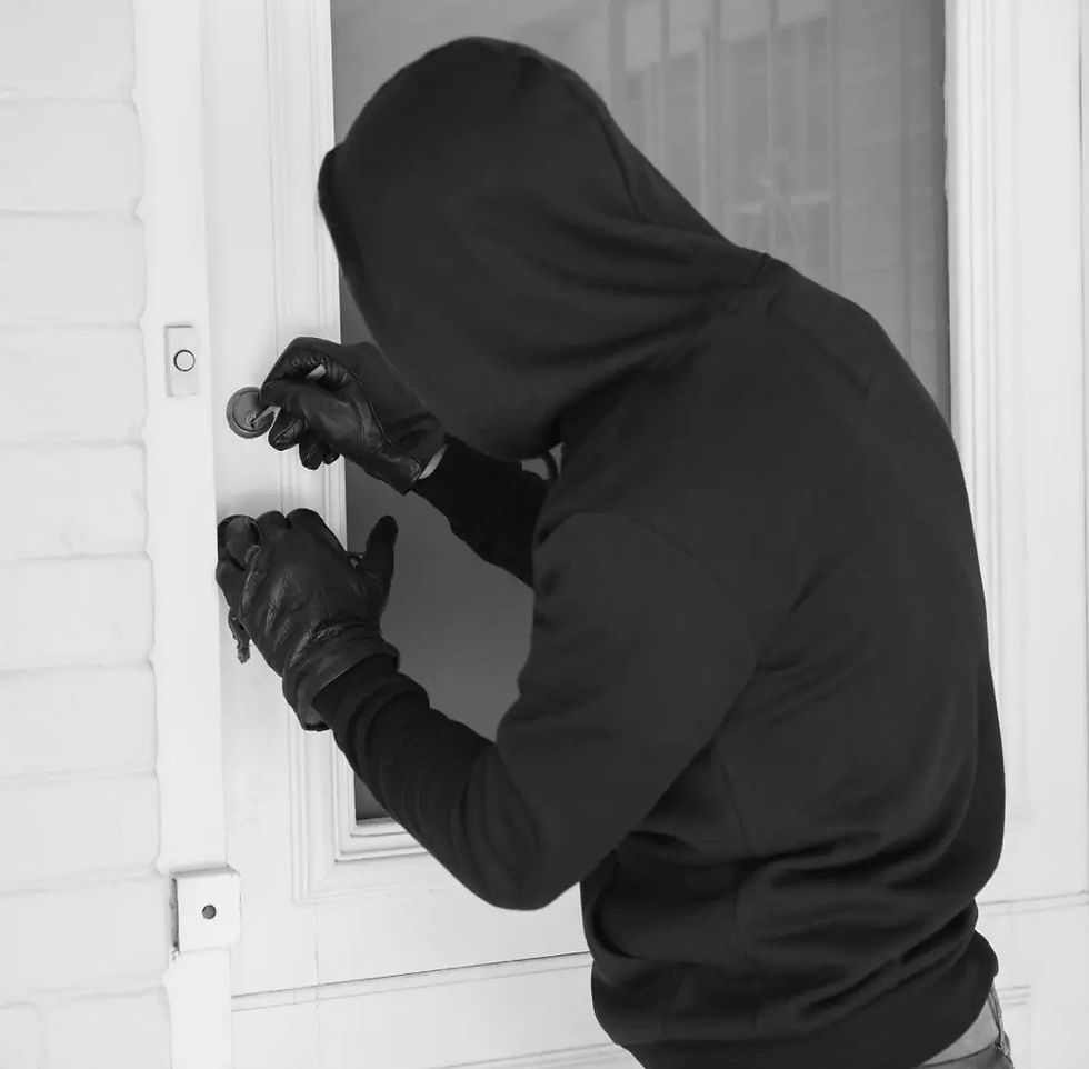 Thumbnail: Qinux Vireon Camera Doorbell