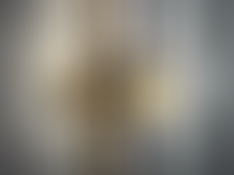 Unlock Your Company's Growth Potential with Layton IR Consulting