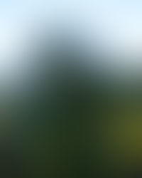 260527
