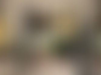 260425