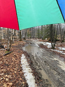 IMG_5664 2.JPG
