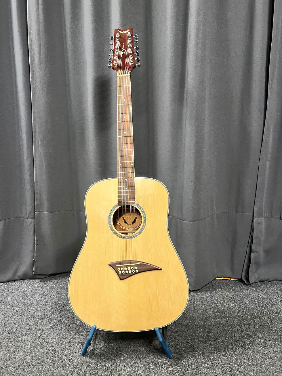 Gitarre 12 Saiten Dean TS12..