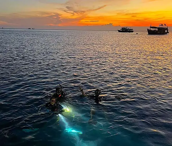 Cambodia-Night-Diving.webp