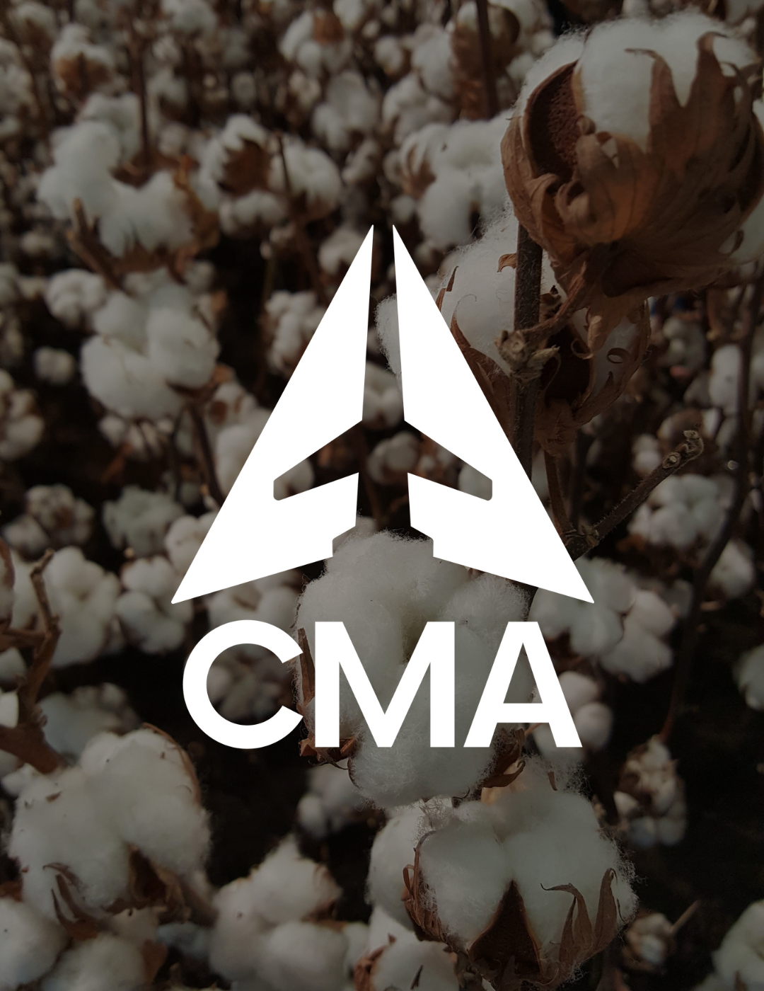Cleveland Municipal Airport Logo Brand Amirita Tipper Design Studios