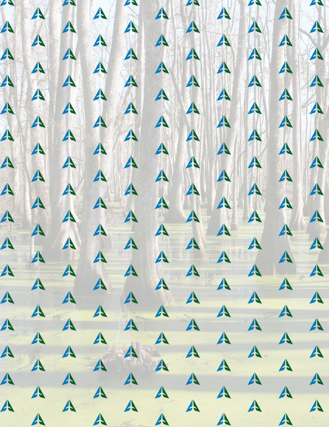 Cleveland Municipal Airport Logo Brand Amirita Tipper Design Studios