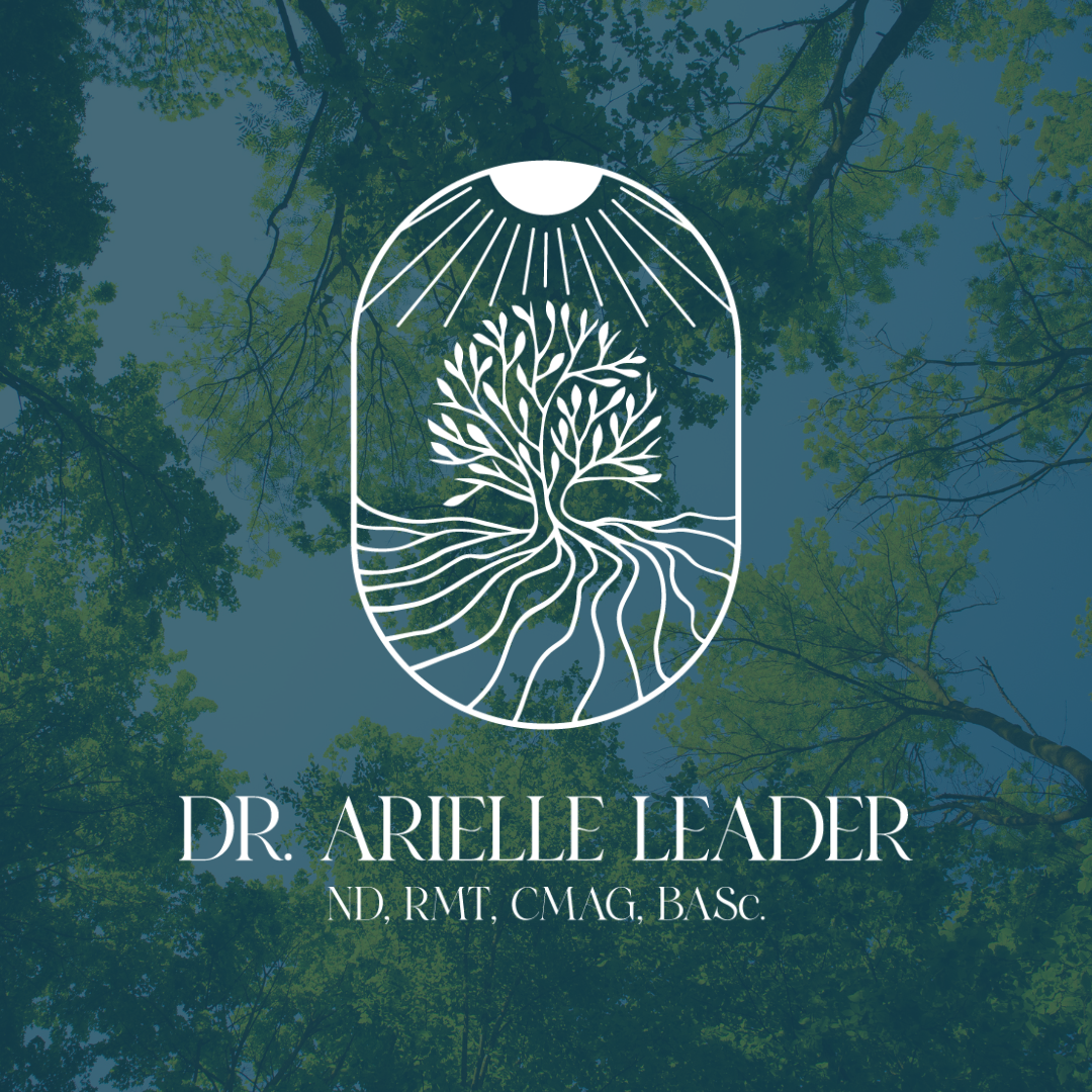 Dr. Arielle Leader ND Logo Amirita Tipper Design Studios
