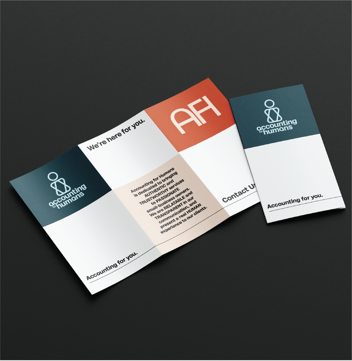 Accounting For Humans Pamphlet Mockup Amirita Tipper Design Studios