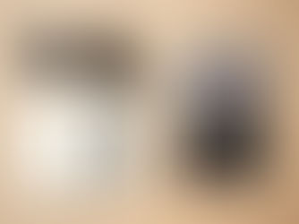 The Ride of a Lifetime by Robert Iger: The Art of Leadership and Innovation