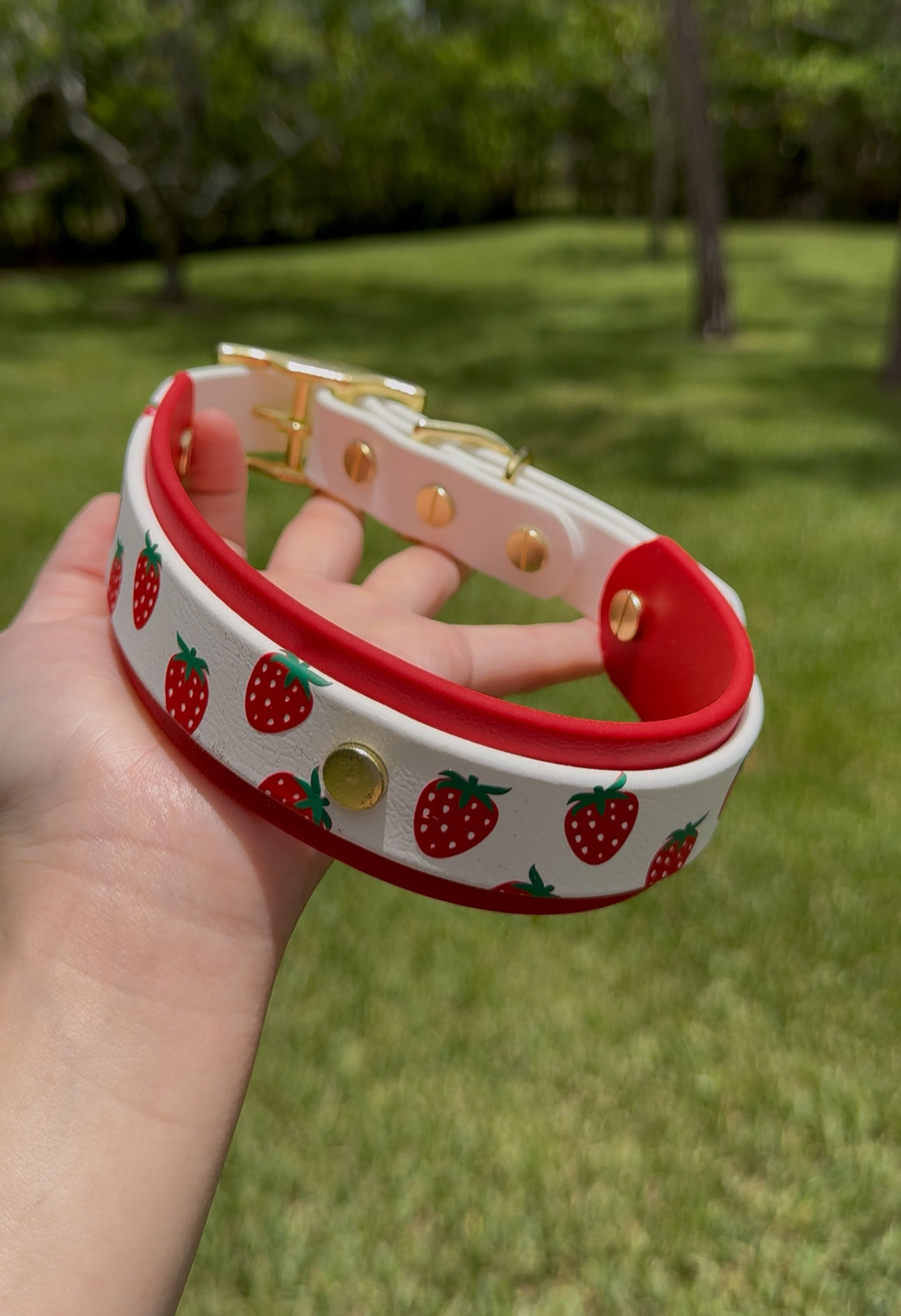 Strawberry Dog Collar