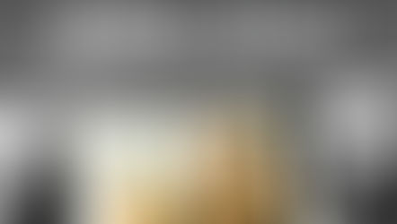 Scriitorul RADU VANCU, în dialog cu spiriștii: despre literatură, despre scriitor...