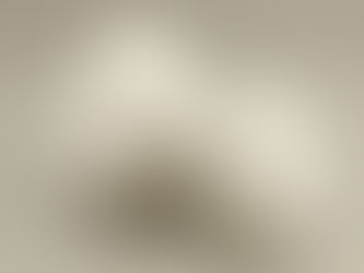 The egg of wholeness