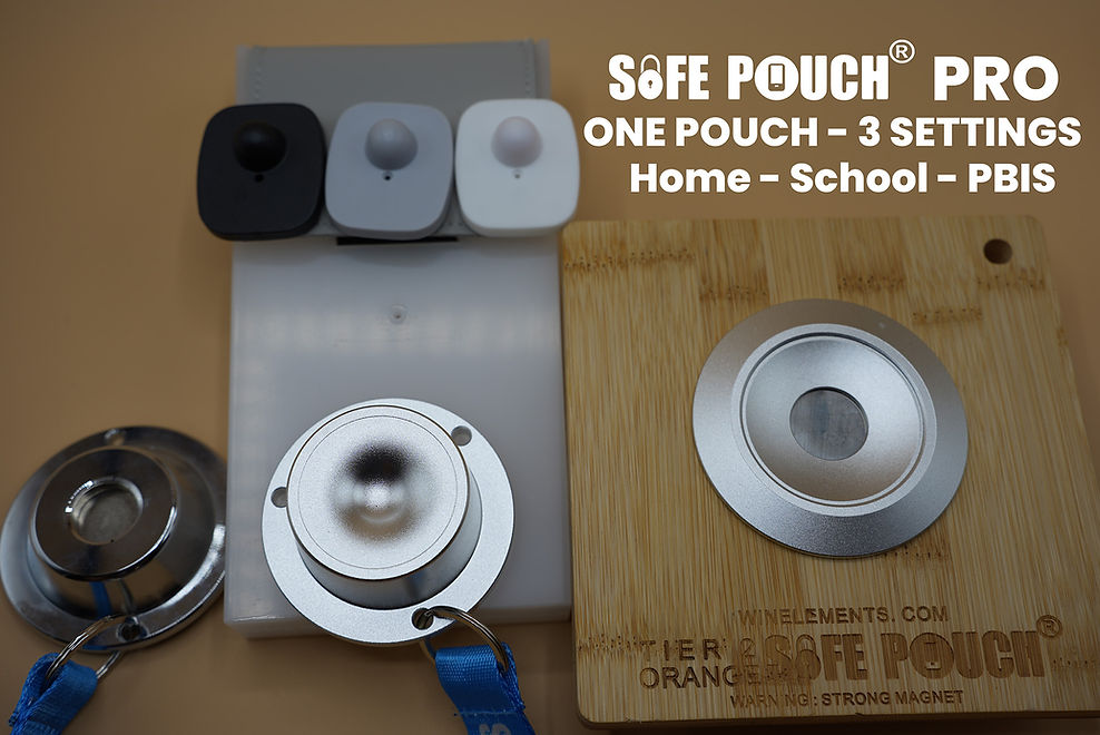 Safe Pouch Pro All Levels.jpg