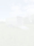 CANOPY BACKGROUND