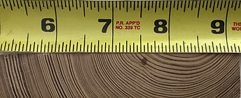 growth rings