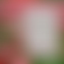 Lord, Direct my path