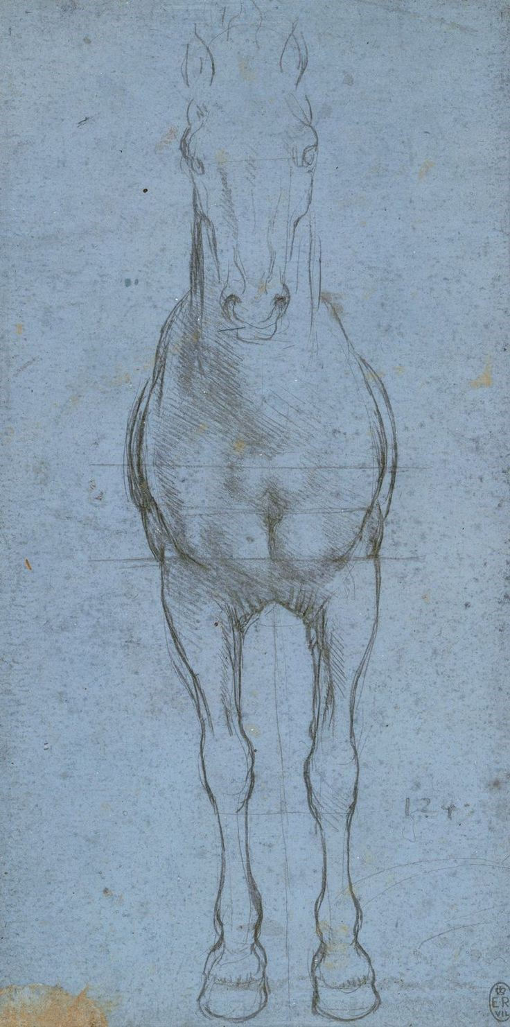 Леонардо да Винчи. Вид лошади спереди, ок. 1490 – 1493гг.