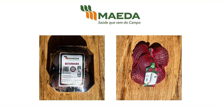 Portifólio Beterraba Maeda.jpeg