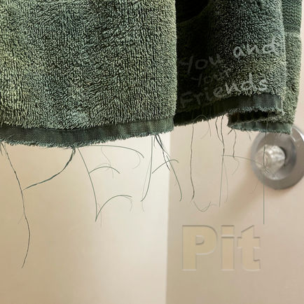 peach_pit_album_cover