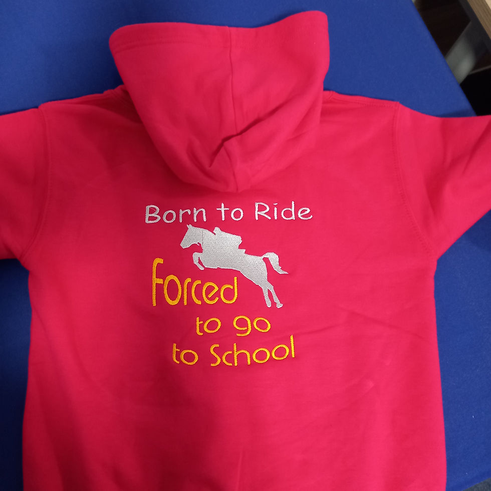 Born to Ride - Embroidered Back Childrens hoodie