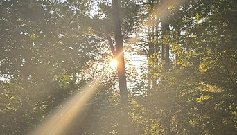 2024-09-05 18_edited.jpg