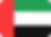 dubai-flag.png