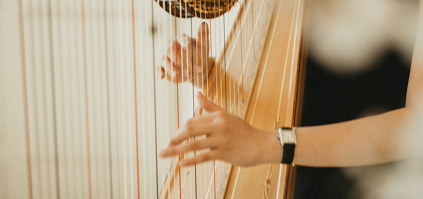 Karen Tay harp hands
