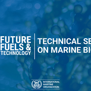 GCGF Presents at IMO Marine Biofuels Seminar