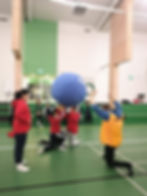 Sport activities in sport institutes