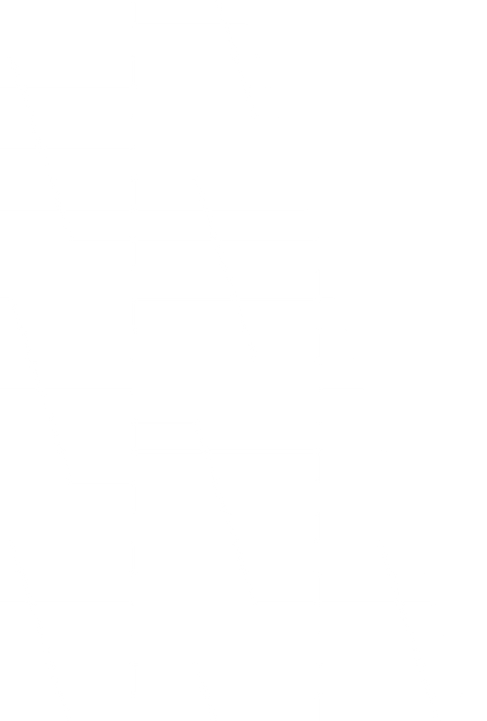 lateral.png