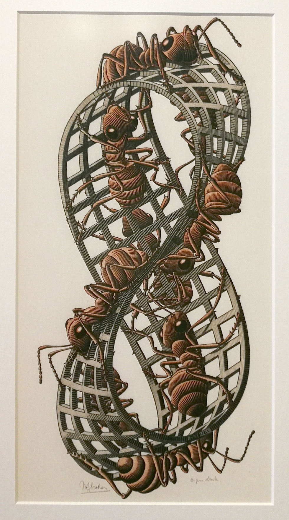 M.C. Escher (1963) Möbius Strip II 