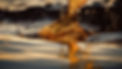 oil-pollution-water-created-with-generative-ai-technology.jpg