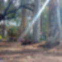 6e0dc408-cc6b-4319-bfae-18289d27ca2f_edited.jpg