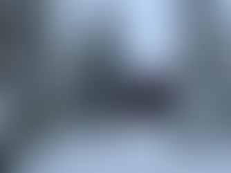 Experience Comfortable Mountain Lodges like  Shred Inn West Virginia