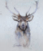 Watercolor Buck painting by Heidi Field Alvarez