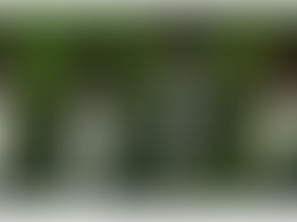 A Culmination by Lynette Yiadom-Blakey 2016