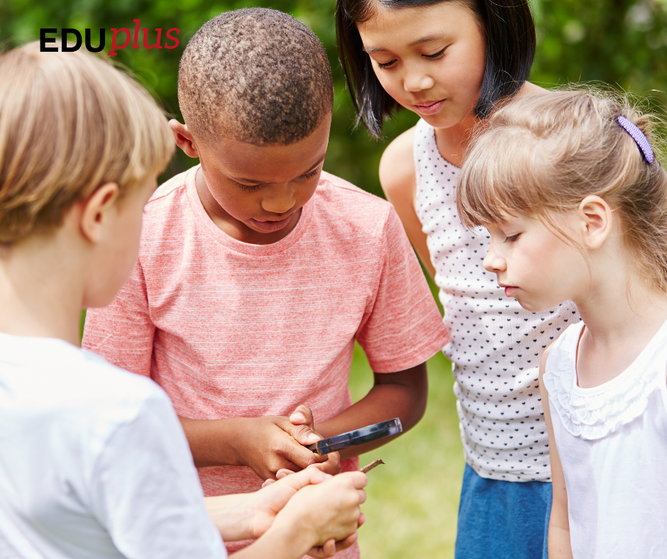 kỹ năng làm việc nhóm là gì