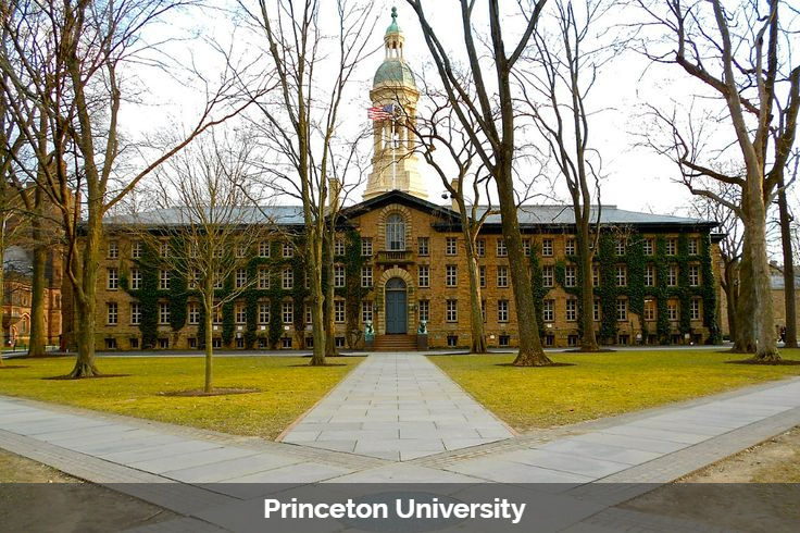 Summer camp to Princeton university