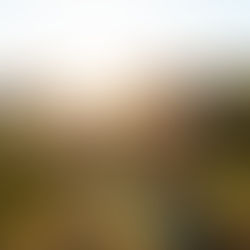 Choosing a Location for your Vermont Family Session | Vermont Portrait Photographer